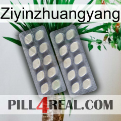 Ziyinzhuangyang 07